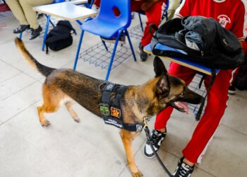 PNC ejecuta registro en el INFRAMEN e INTI donde hace unos días estudiantes protagonizaron riña callejera