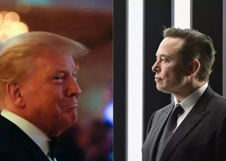 Elon Musk confirma que está dispuesto a asumir un cargo de auditor si Donald Trump vuelve a ganar las presidenciales