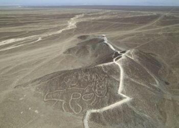 Descubren con IA más de 300 nuevas figuras en Nazca
