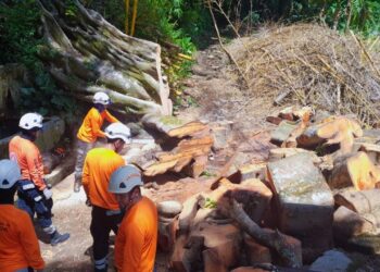 Protección Civil despliega equipos de primera respuesta en distintos puntos del país ante últimas lluvias