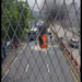 VIDEO | Motocicleta de Pedidos Ya! se incendio sobre 49 avenida sur