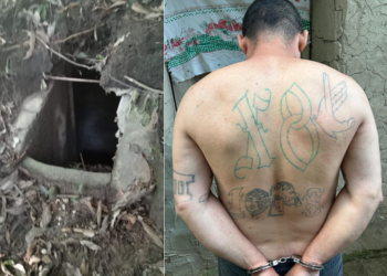 Sacan de su cueva a pandillero que se escondía de las autoridades en Tenancingo