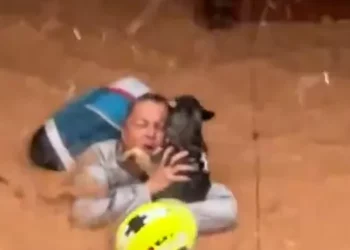 (VIDEO) Dramático rescate de una mujer y sus mascotas atrapados con el agua hasta el cuello en Valencia