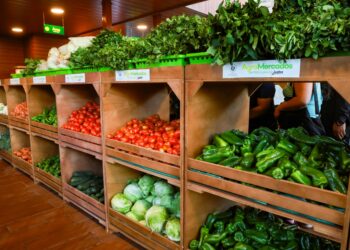 Nueva Central de Abastos abre sus puertas este miércoles, una medida del plan económico del presidente Bukele