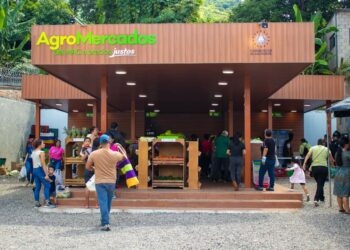 Agro mercados continúan aliviando el bolsillo de los salvadoreños