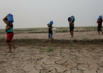La sequía extrema en Brasil pone en peligro las cosechas y encarecerá los alimentos a nivel mundial