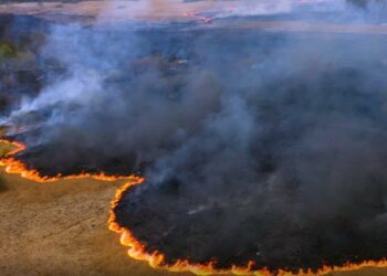 ONU informa de un nuevo récord de gases de efecto invernadero