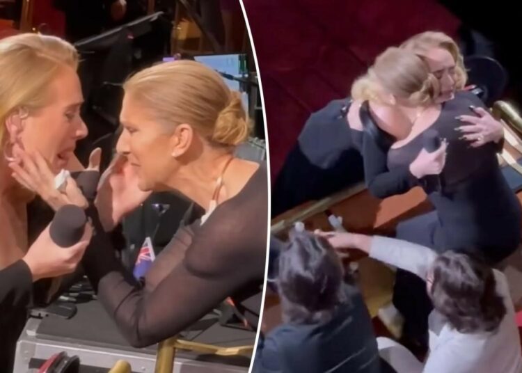 Adele se conmueve al ver a Céline Dion en su concierto