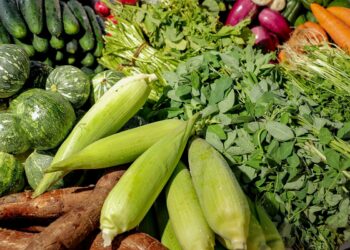 Reduce en más del 3% la Canasta Básica Rural