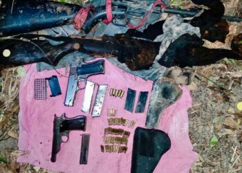 Aprueban que armas de fuego ilegales puedan ser inscritas sin acusaciones penales