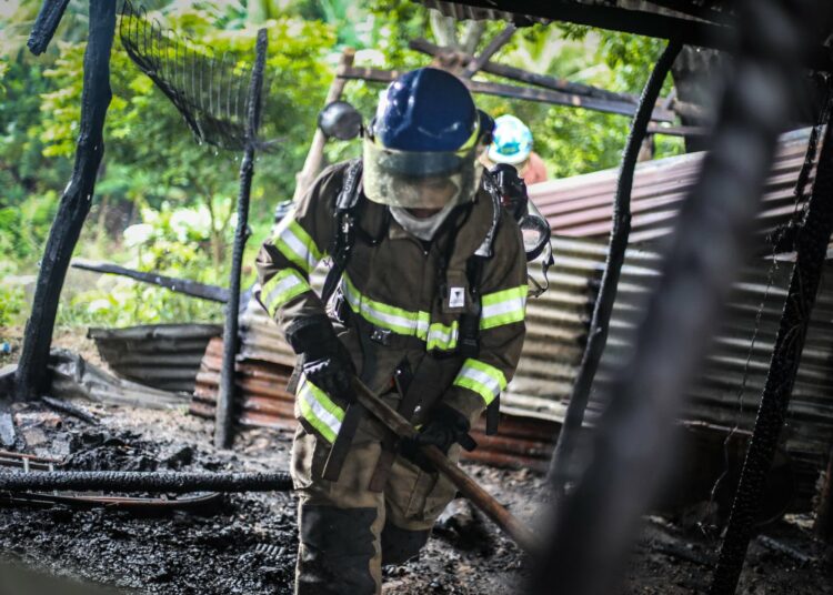 Subdirector de Bomberos resalta que institución ya cuenta con 18 estaciones a nivel nacional