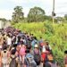 Primera caravana migrante en el Gobierno de Sheinbaum parte desde la frontera con Guatemala