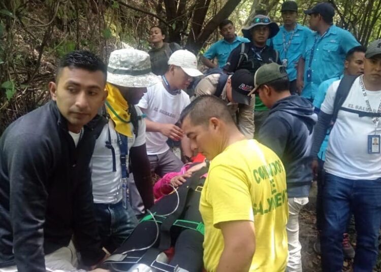 Turistas fueron atacados por enjambre de abejas en el Cerro Verde