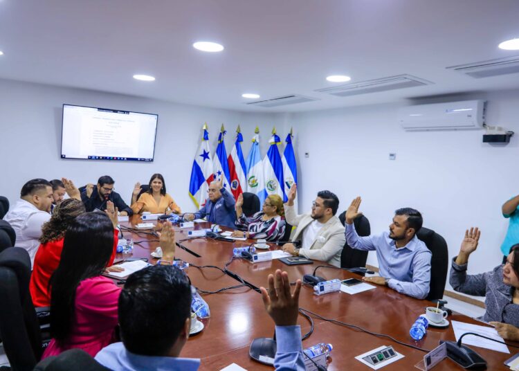 Dirección de Ordenamiento Territorial otorgará mayor protagonismo a alcaldías