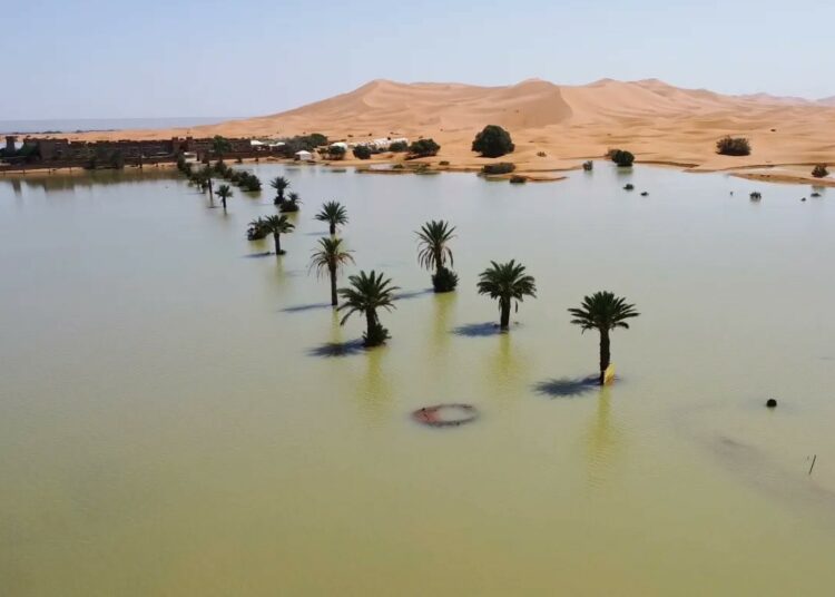 Inundaciones históricas transforman el desierto del Sahara