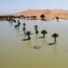 Inundaciones históricas transforman el desierto del Sahara