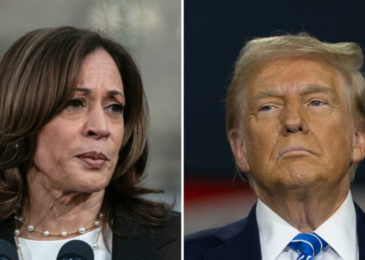 Tres factores clave que ayudan a Trump a acortar la ventaja de Harris entre los votantes latinos