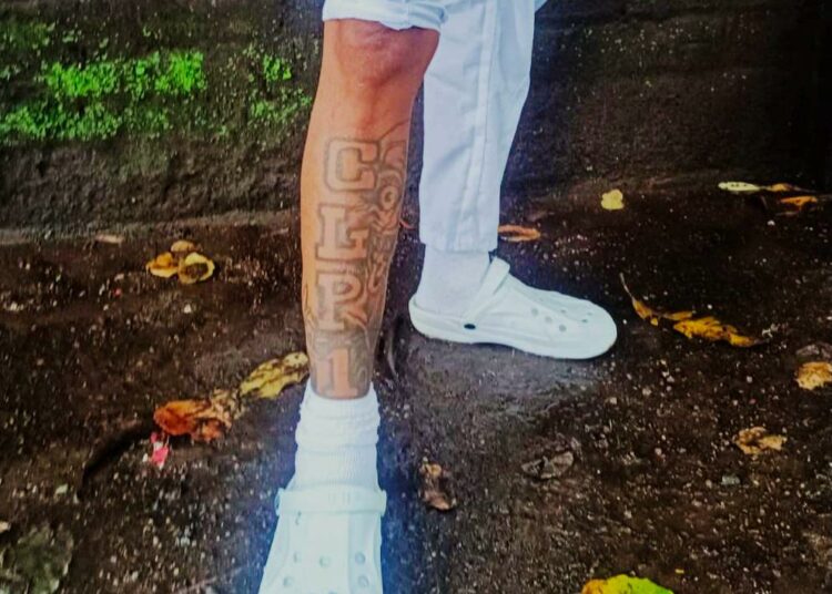 Marero que cumplió condena volvió a ser arrestado para enfrentar nuevos cargos