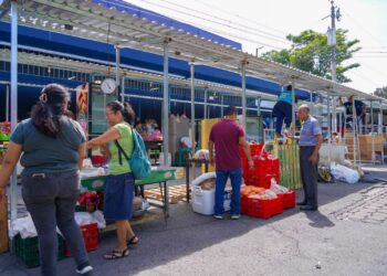 Trasladan temporalmente a comerciantes del mercado de Ayutuxtepeque hacia la primera avenida sur y Calle 15 de Septiembre