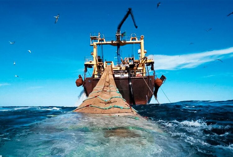 Congreso peruano aprueba uso de la fuerza para combatir la pesca ilegal