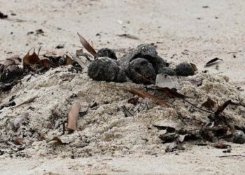 Cierran dos playas por misteriosas bolas negras de Sídney, Australia