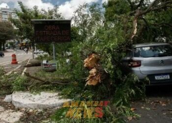 Lluvias dejan al menos 5 muertos y 1,6 millones de personas sin electricidad en estado brasileño de Sao Paulo