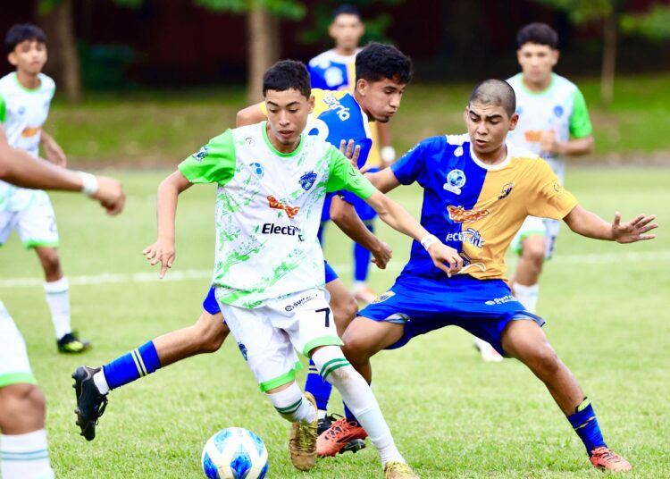 Ahuachapán no pudo con Usulután en la LNF