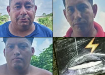 Capturan a sujetos que transportaban droga