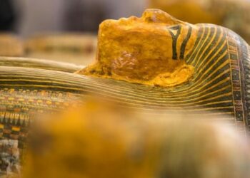 Arqueólogos descubrieron una antigua tumba familiar llena de accesorios de gran importancia cultural