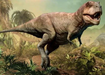 Descubren una nueva especie de tiranosaurio en México