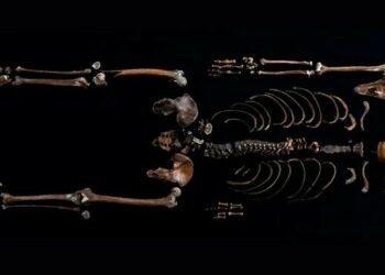 Hallan el primer esqueleto de un personaje de saga nórdica