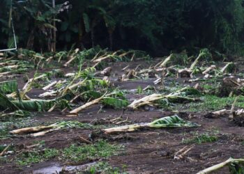Gobierno entregará bonos de $300 a agricultores y distribuirá paquetes de alimentos a familias afectadas por tormentas de fin de semana
