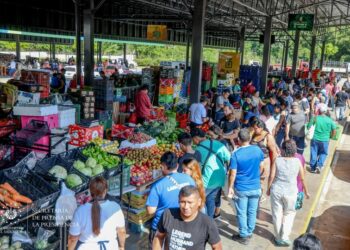 Fase 1 del Plan Económico da resultados positivos al lograr reducción de precios de la canasta básica