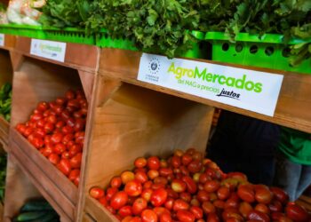 Presidente Bukele anuncia cinco nuevos agromercados