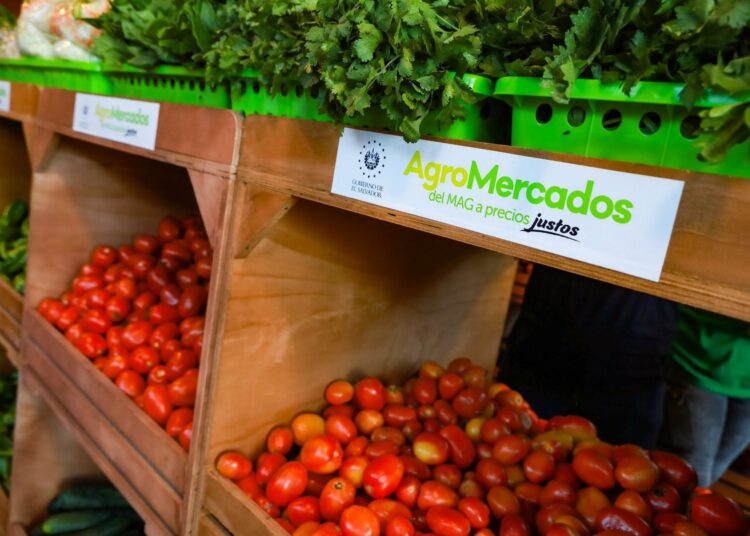 Presidente Bukele anuncia cinco nuevos agromercados