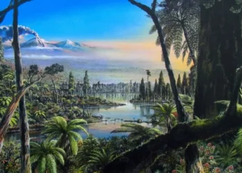 Hubo un bosque en la Antártida: ¿por qué el ámbar lo prueba?