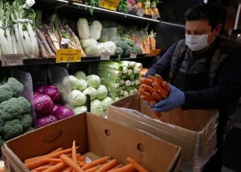 Al menos un muerto y decenas de afectados por un brote de E. coli en zanahorias orgánicas en EEUU