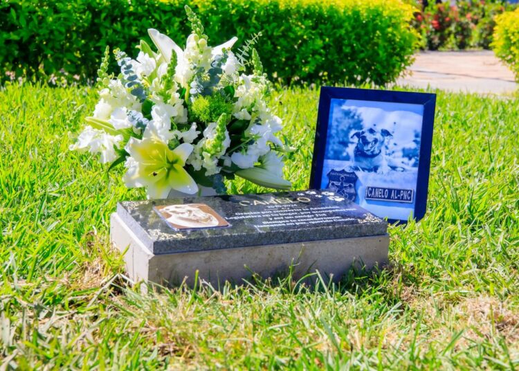 Personal de la Asamblea Legislativa sepulta las cenizas de «Canelo» en uno de los jardines frontales