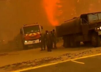 Chile declara alerta roja por incendios forestales en cinco comunas; el fuego afecta más de 300 hectáreas