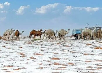 El desierto de Arabia Saudita se cubre de nieve por primera vez en su historia