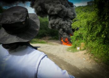 Autoridades destruyen droga por valor de más de un millón de dólares