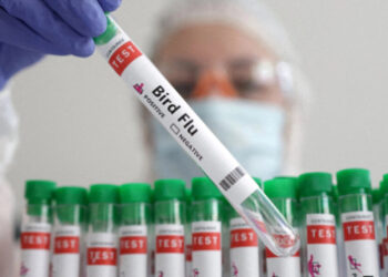 Confirmaron el primer caso de gripe aviar en humanos en Oregón