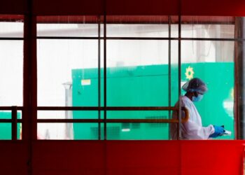 California reporta primer caso confirmado de gripe aviar en un niño en EEUU