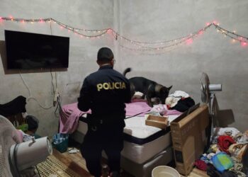 Capturan a 15 sospechosos de traficar drogas en la zona oriental del país