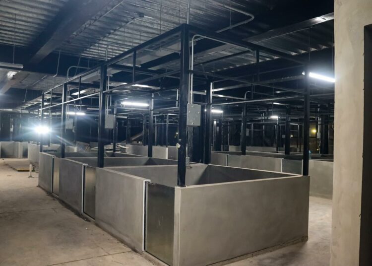 Inicia construcción de locales comerciales en Mercado San Miguelito