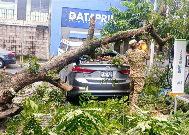 Tormentas derriban árboles e inundan calles en zonas de San Salvador