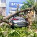 Tormentas derriban árboles e inundan calles en zonas de San Salvador