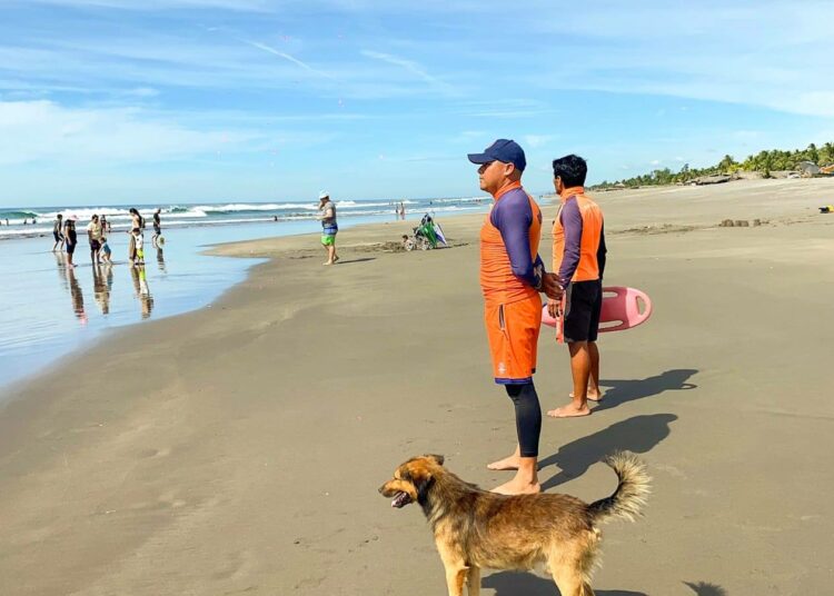 Guardavidas tendrán presencia en playas de El Salvador con mayor afluencia de visitantes por festividad de Navidad y Año Nuevo