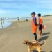 Guardavidas tendrán presencia en playas de El Salvador con mayor afluencia de visitantes por festividad de Navidad y Año Nuevo