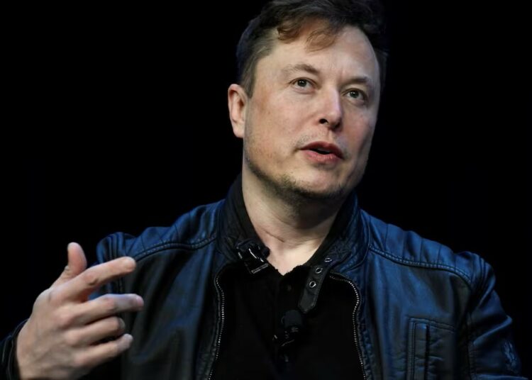 Alemania acusó a Elon Musk de tratar de influir en sus elecciones al apoyar al partido ultraderechista AfD